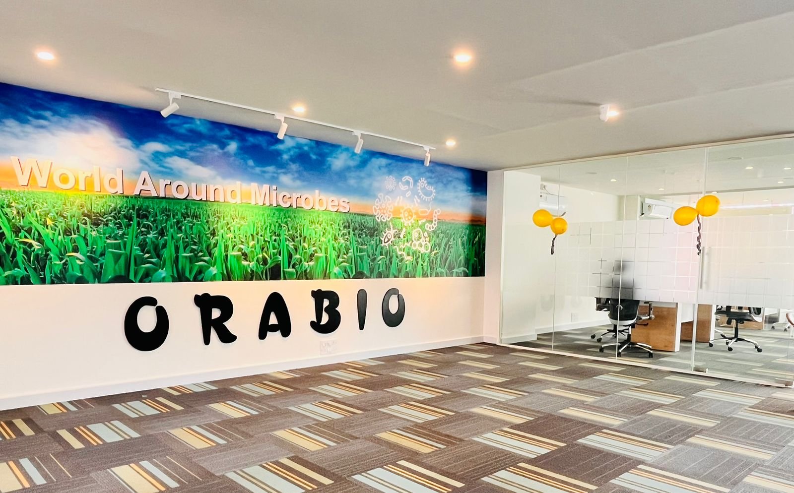 Orabio office, Orabio clients